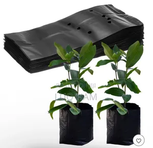Potting Bags Nursery Bed Rolls