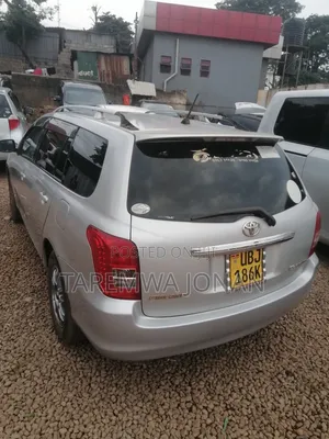 Toyota Corolla Fielder 2007 Silver