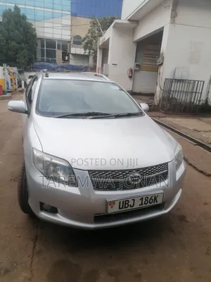 Toyota Corolla Fielder 2007 Silver