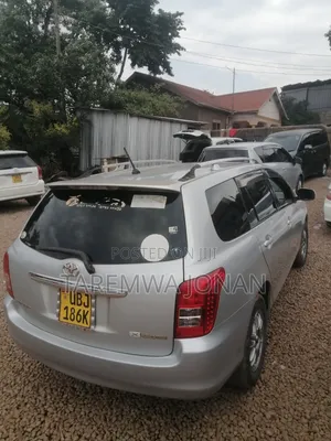 Toyota Corolla Fielder 2007 Silver