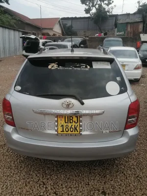 Toyota Corolla Fielder 2007 Silver