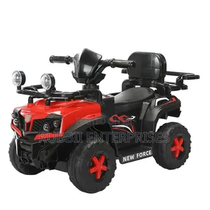 Electric Quad Bike