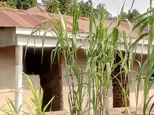87 Decimals in Kawempe