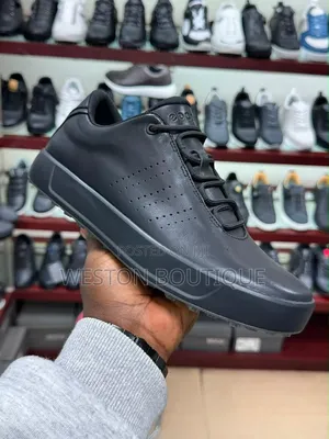 Original Boxed Ecco Sneakers for Men