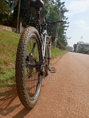 Mountain Bike Size 29