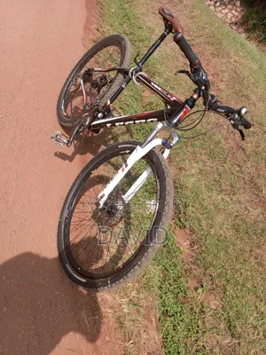 Mountain Bike Size 29