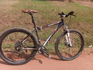 Mountain Bike Size 29