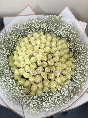 Snowdrift White Roses Perfect for Different Occasions