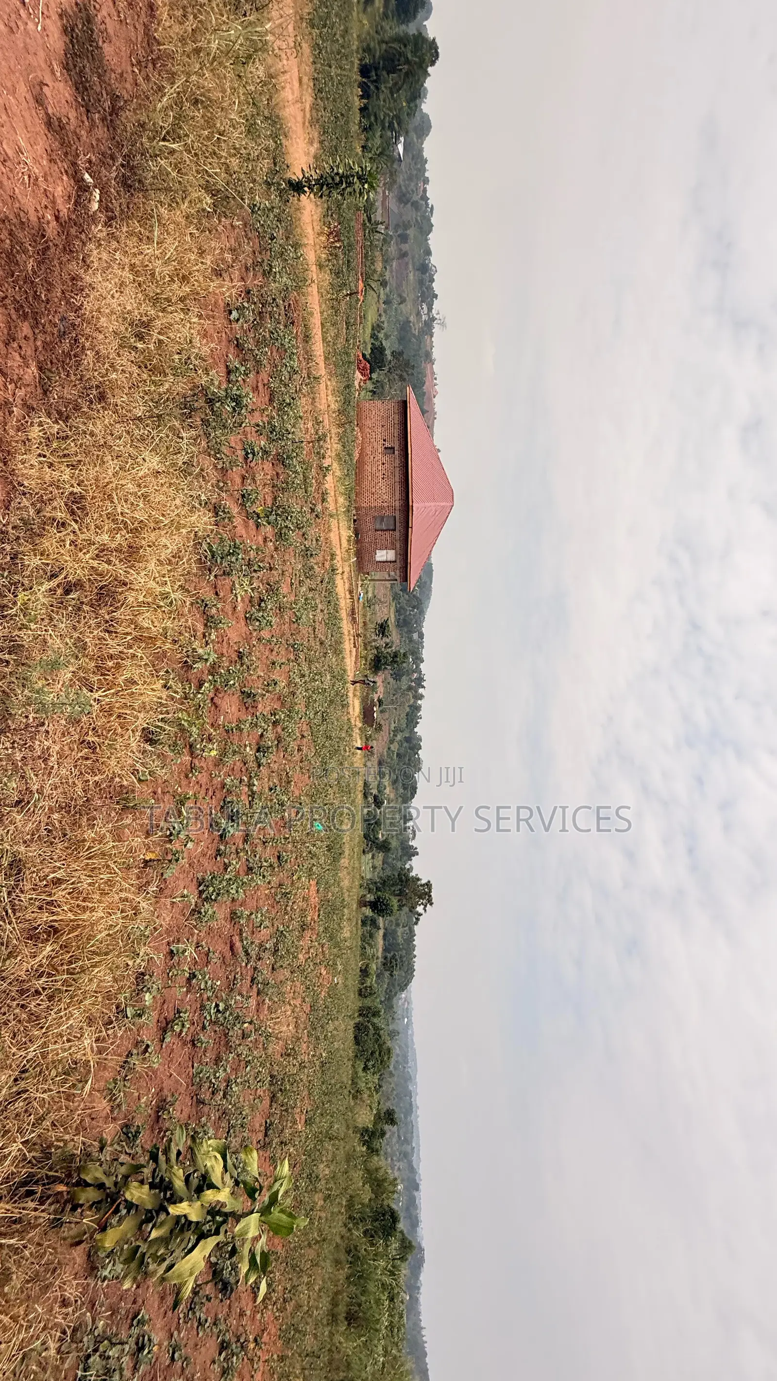 Busukuma Estate