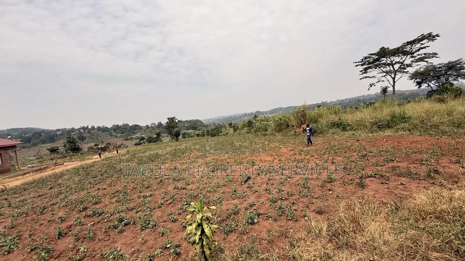 Busukuma Estate