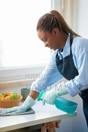 Professional Home Equipment Cleaning - Fridge, Cooker, Microwave Etc