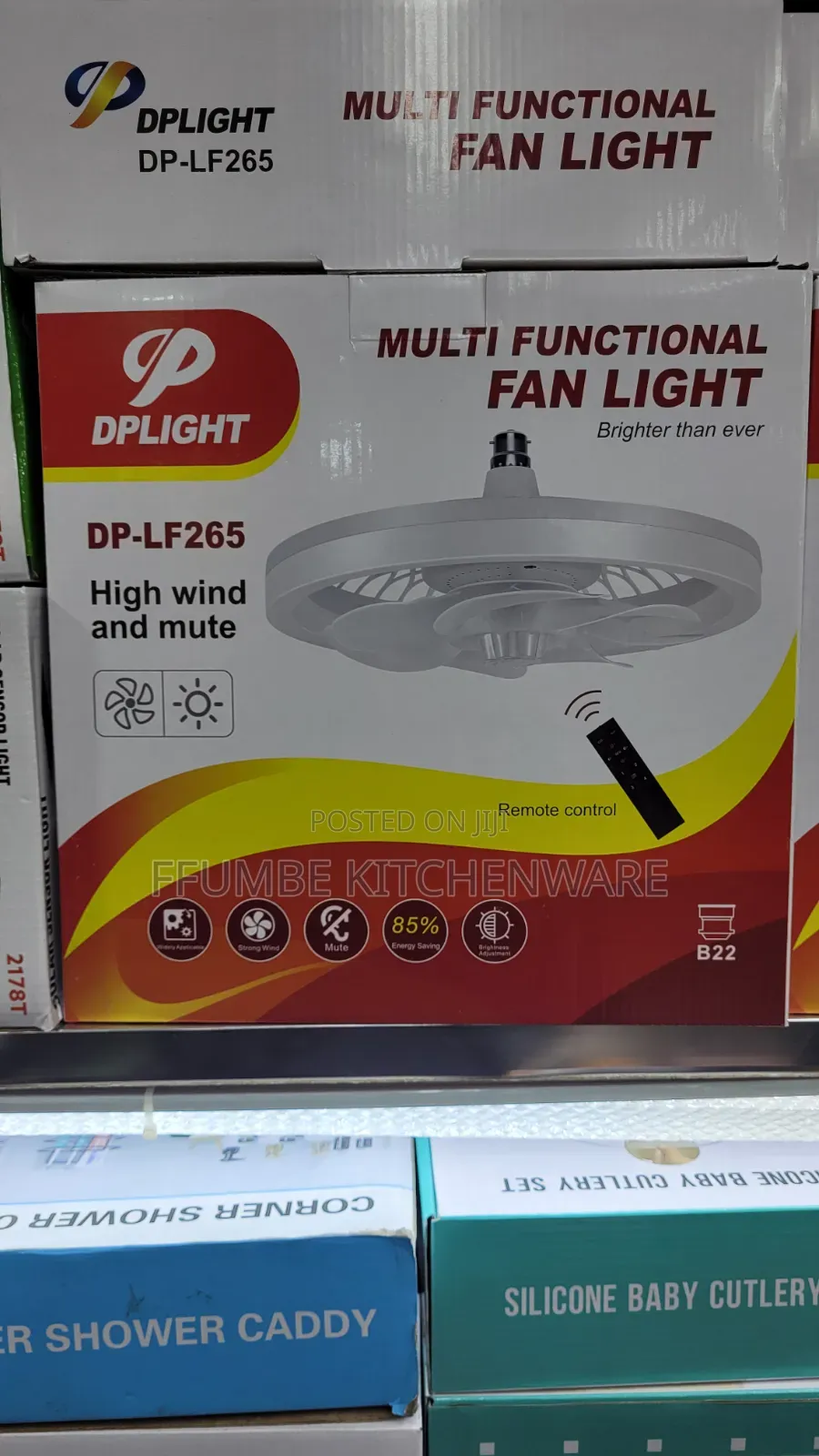 Fan Light or Ceiling Fan