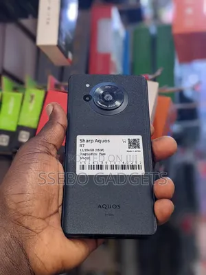 Sharp Aquos R7 256 GB Gray