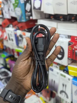 Laptop Power Cable Mickey