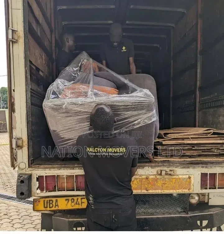 Movers and Packers DM5