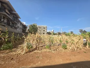 50 Decimals for Sale in Ntinda