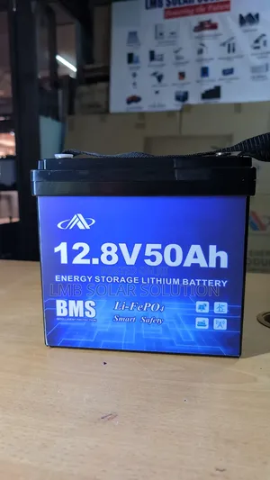 12.8V - 50AH Lithium Ion Battery