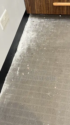 Carpet Cleaning