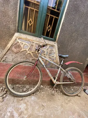 NEXT Sport BMX Bike