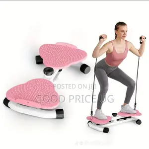 Ab Twister Machine and Waist Twisting Fitness Board