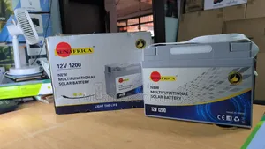 12v 100ah Multi Functional Battery