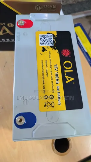 12v 100ah Ola Battery