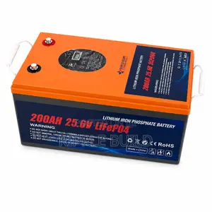 24v 200ah Lifepo4 Lithium Battery 5.12kwh