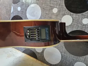 Acoustic Amplified Guitar