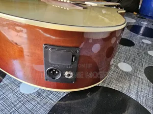 Acoustic Amplified Guitar