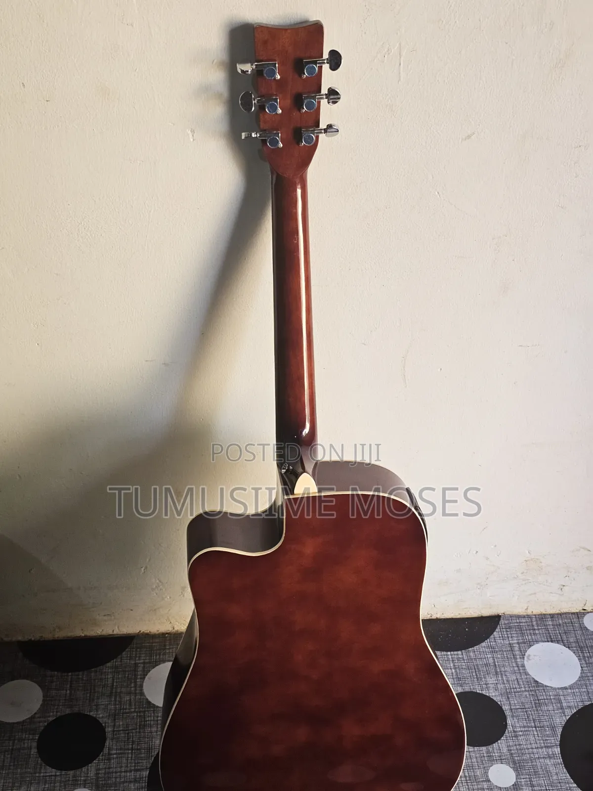 Acoustic Amplified Guitar