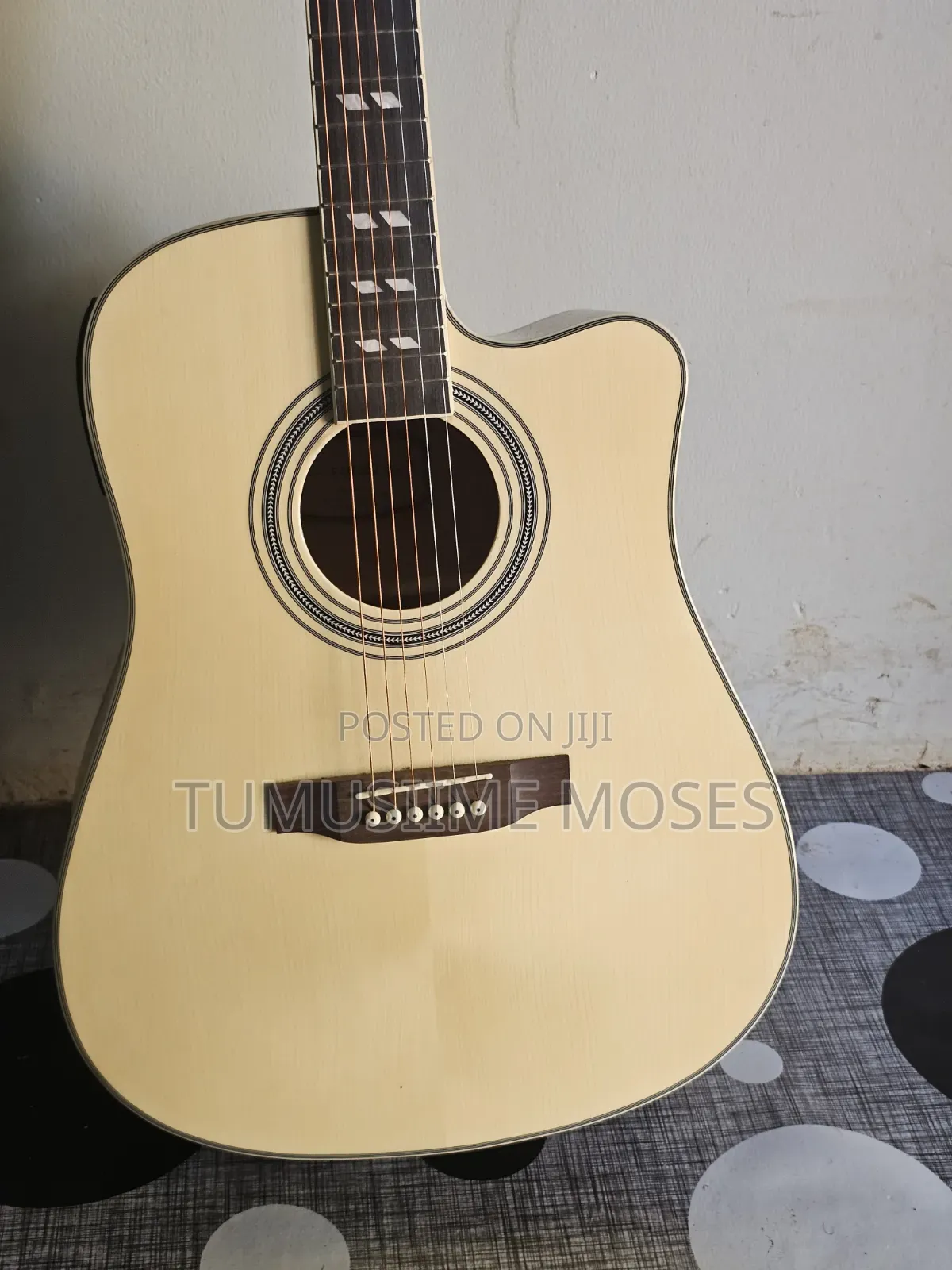Acoustic Amplified Guitar
