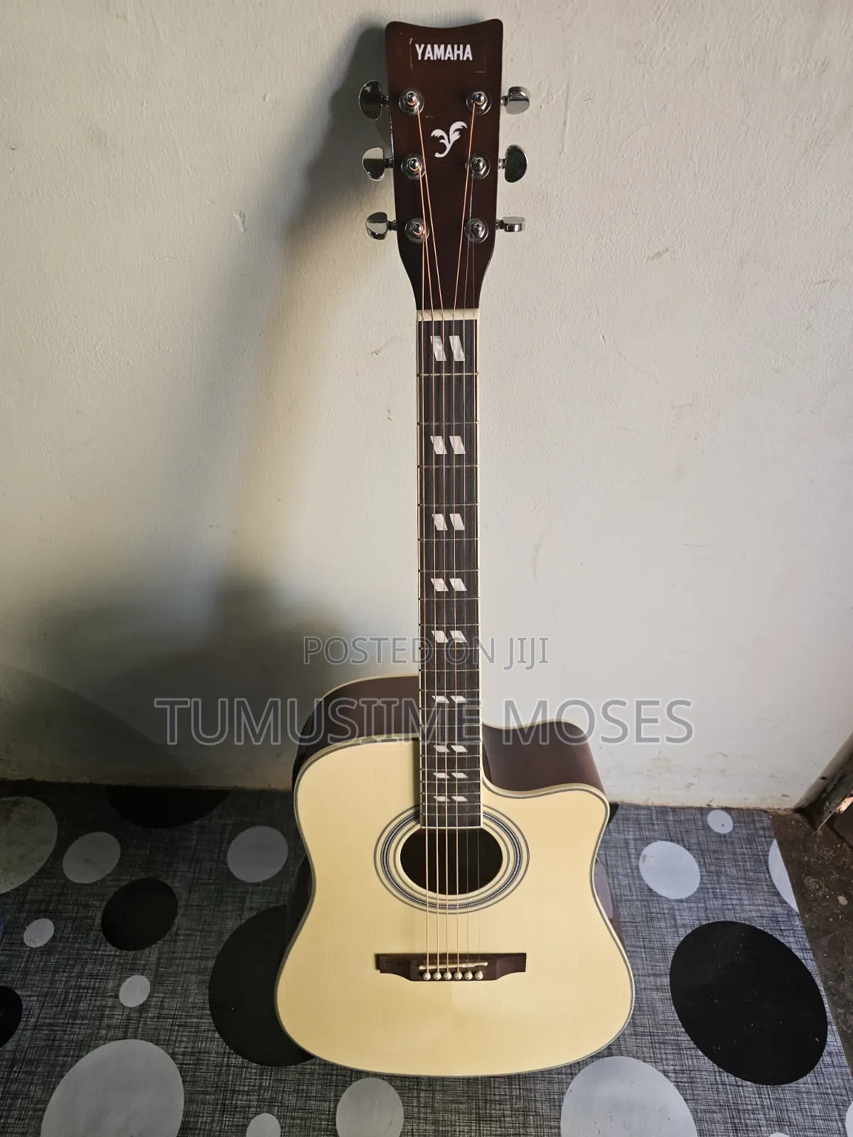 Acoustic Amplified Guitar