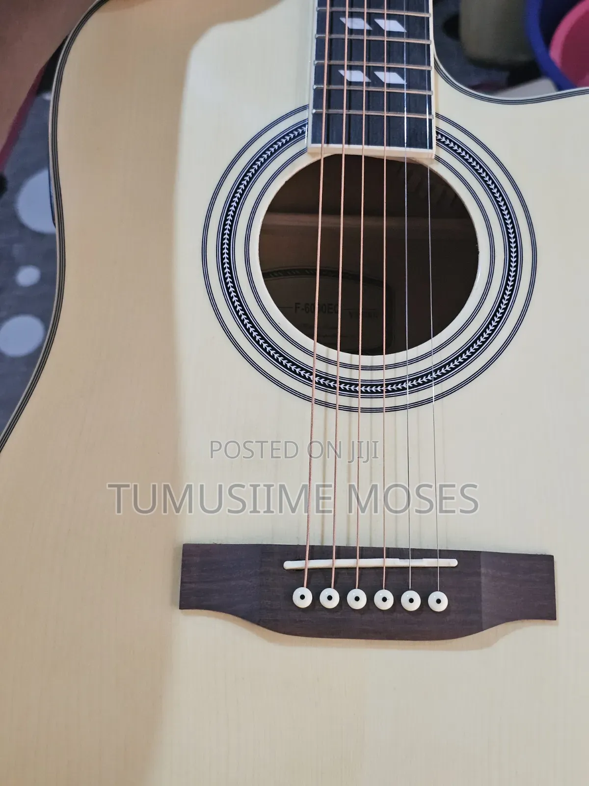 Acoustic Amplified Guitar