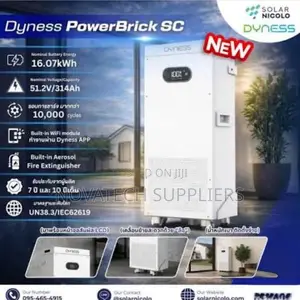 Dyness 314Ah 16kWh Solar Battery | Smart BMS Protection
