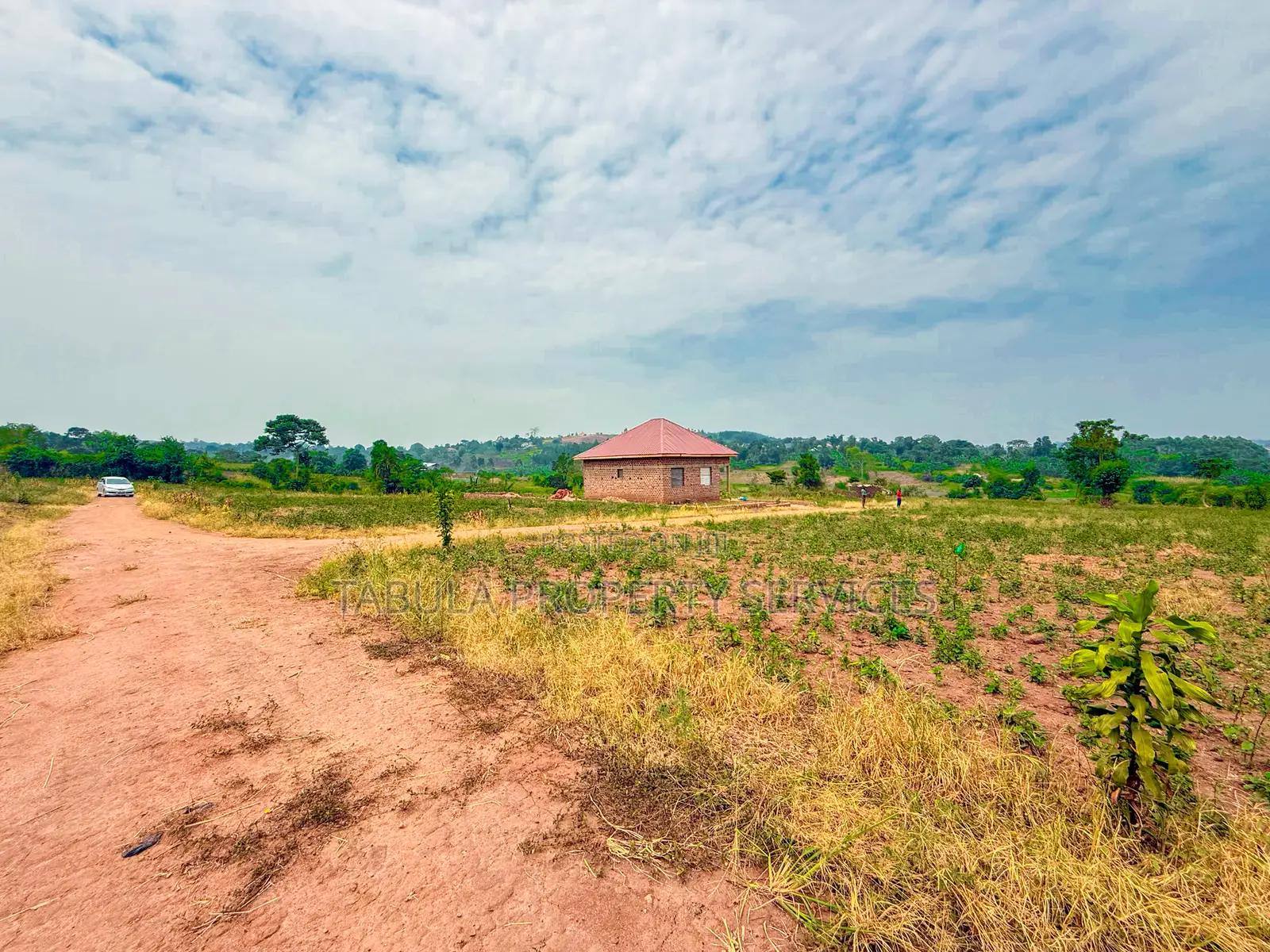 Busukuma Estate