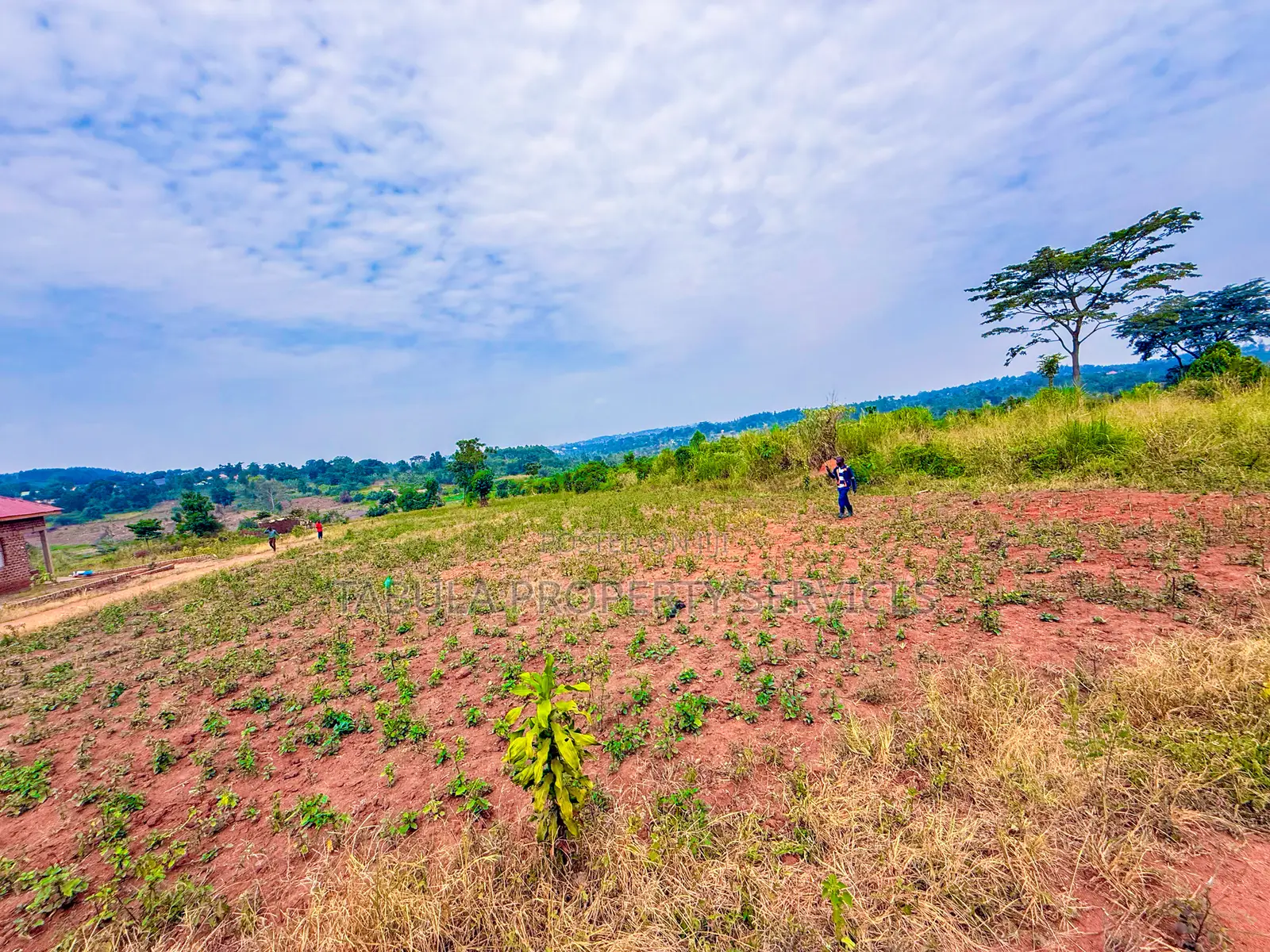 Busukuma Estate