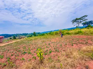 Busukuma Estate