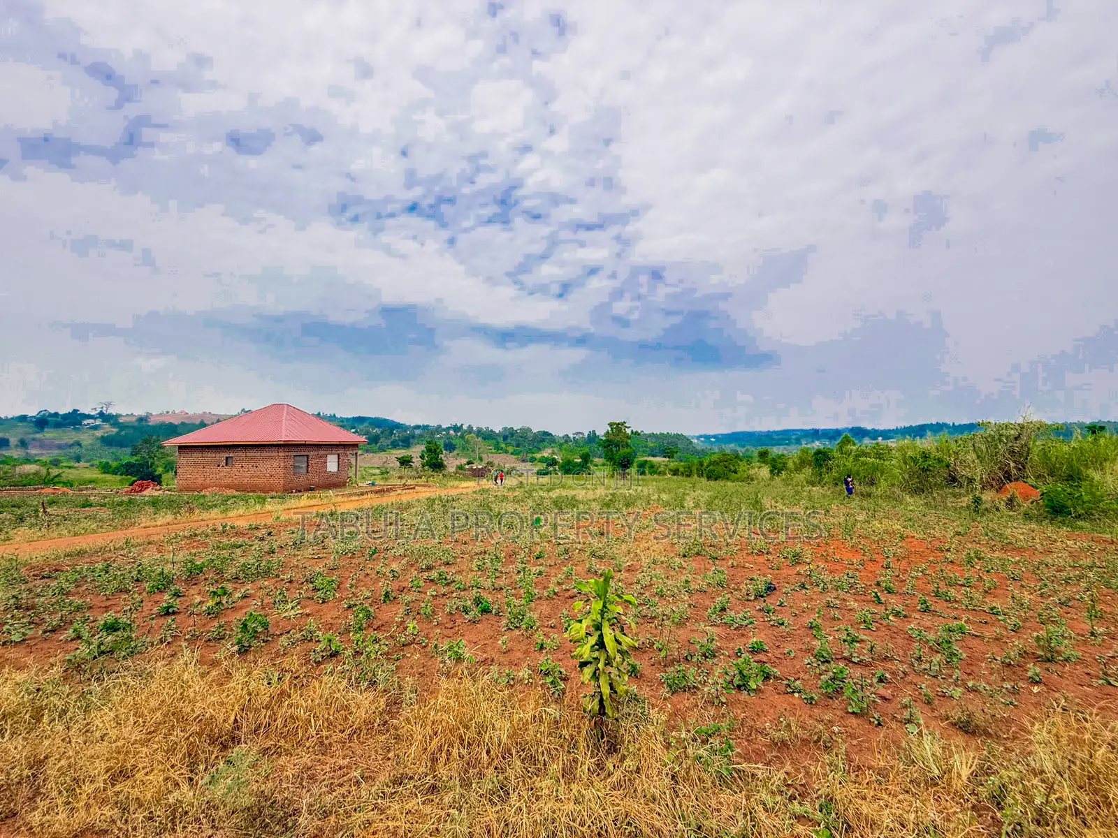 Busukuma Estate