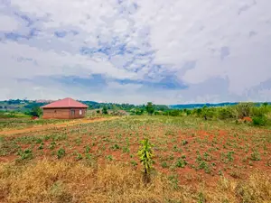 Busukuma Estate