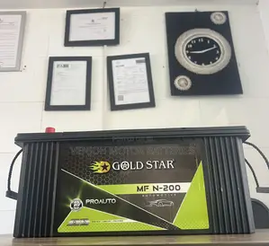 N200 Gold Star Maintenance Free Battery