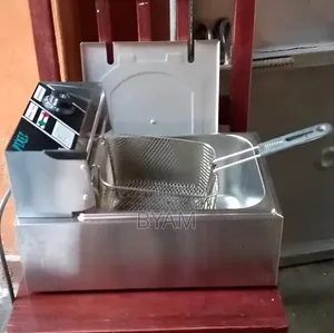 Electric Fryer