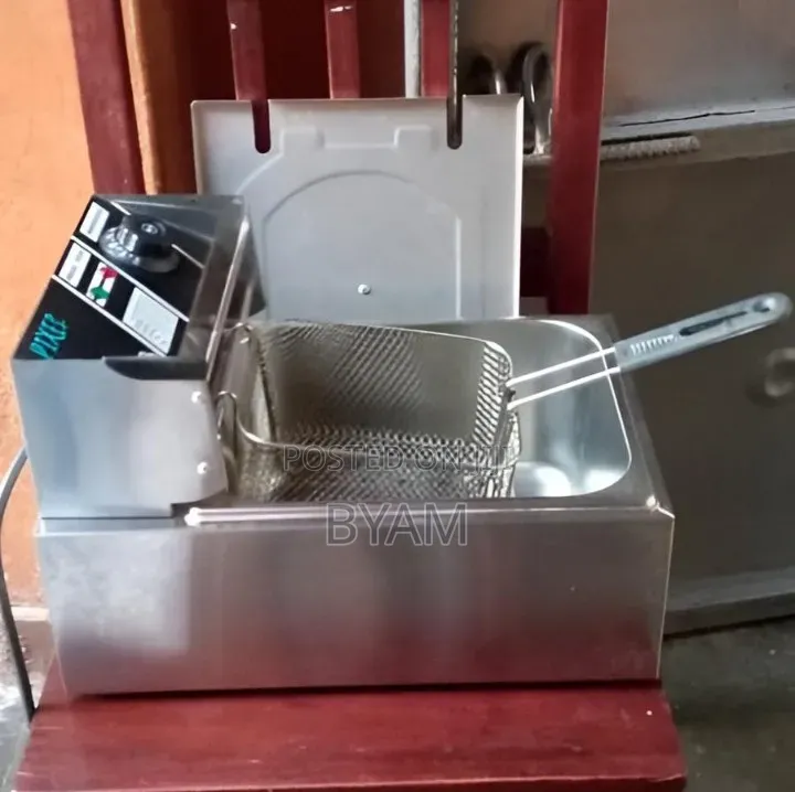 Electric Fryer