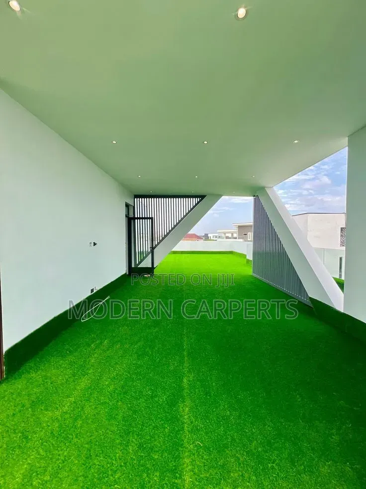 Lunatic Artificial Turf