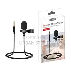 Lavalier Professional Dual Mini Microphone Collar Clip Microphone