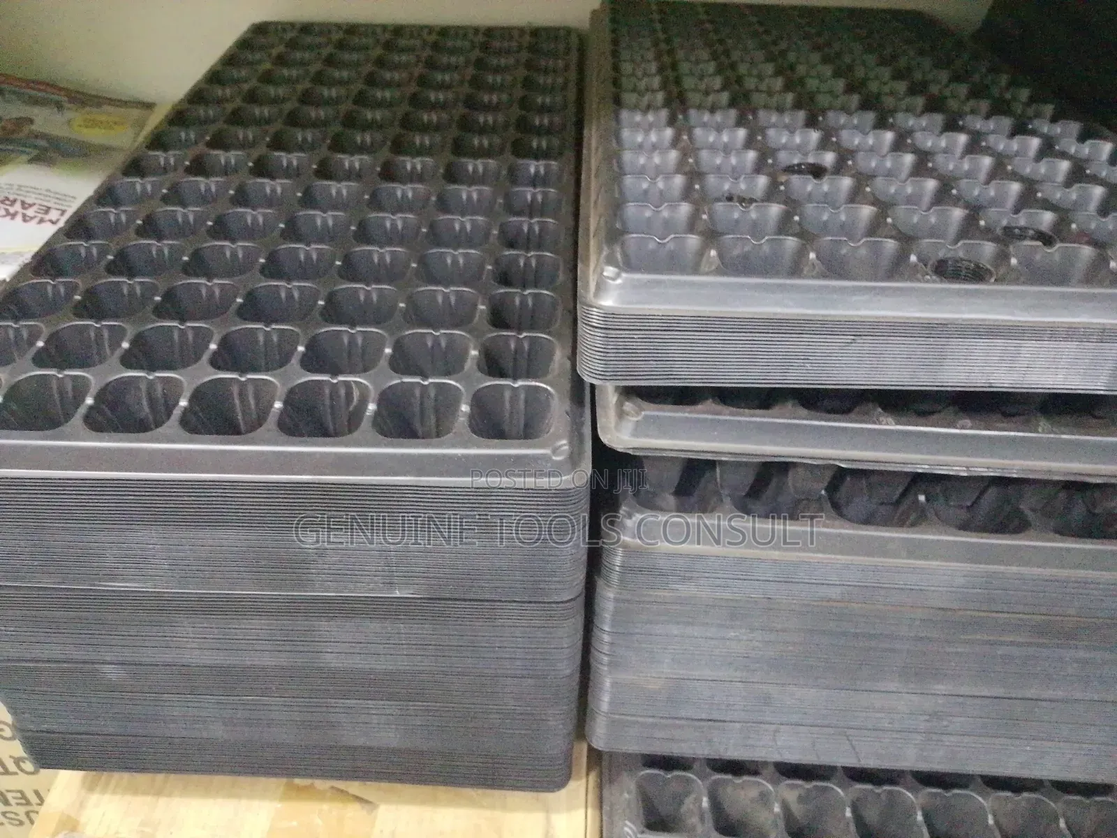 Seed Trays