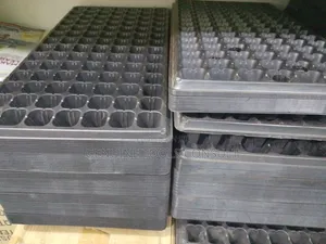 Seed Trays