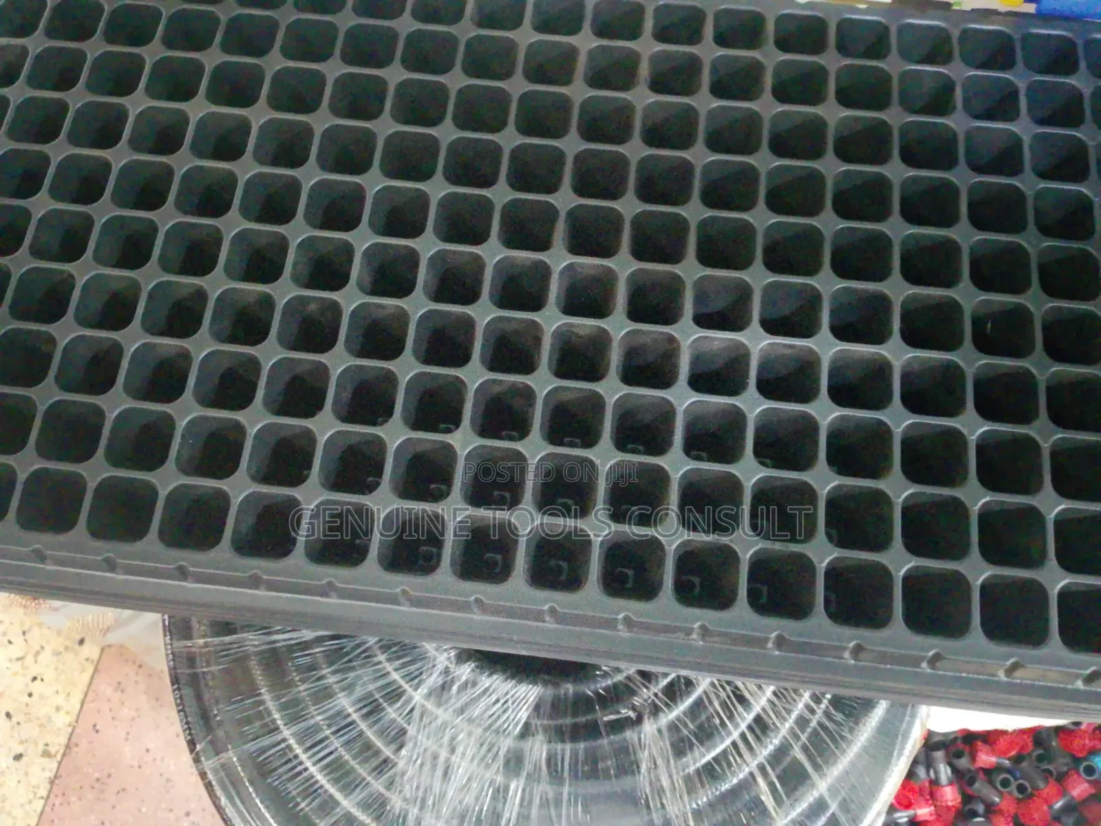Seed Trays
