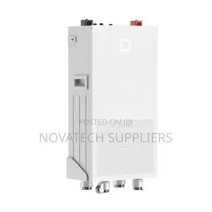 2. 3kWh Dyness Lithium Battery With Smart BMS | 8000 Cycles