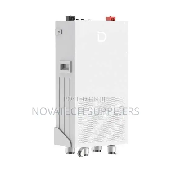 2. 3kWh Dyness Lithium Battery With Smart BMS | 8000 Cycles