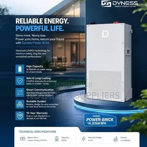 2. 3kWh Dyness Lithium Battery With Smart BMS | 8000 Cycles